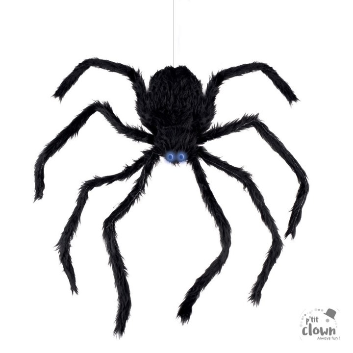 Araignée géante grimpante