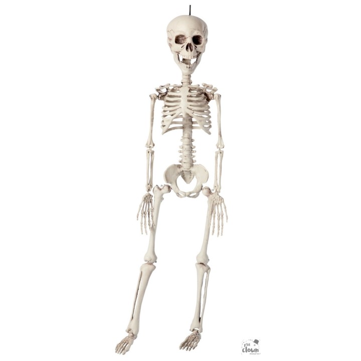 Squelette plastique 76cms