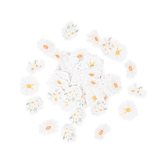 Confettis daisy petites marguerites x100