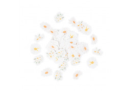 Confettis daisy petites marguerites x100
