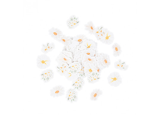 Confettis daisy petites marguerites x100
