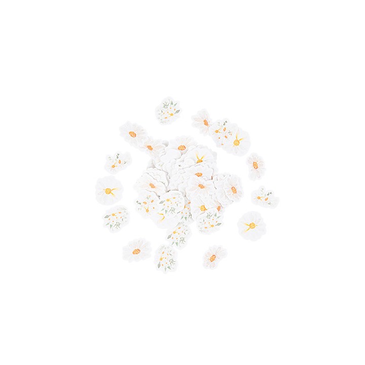 Confettis daisy petites marguerites x100