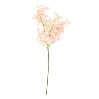 Tige eucalyptus rose poudre