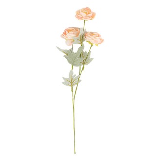 Branche de 3 renoncules blush et vert