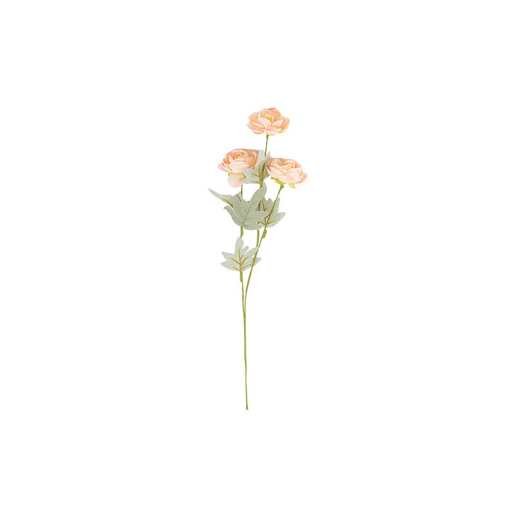 Branche de 3 renoncules blush et vert