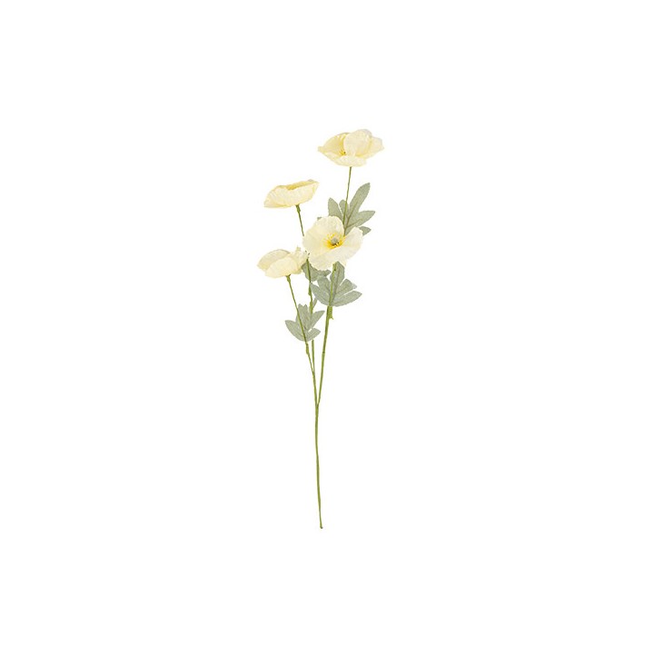 Branche de coquelicot creme et vert