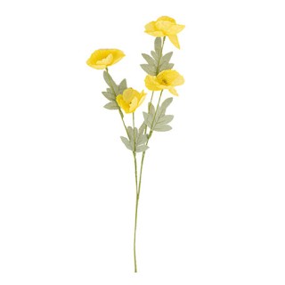 Branche de coquelicot jaune et vert