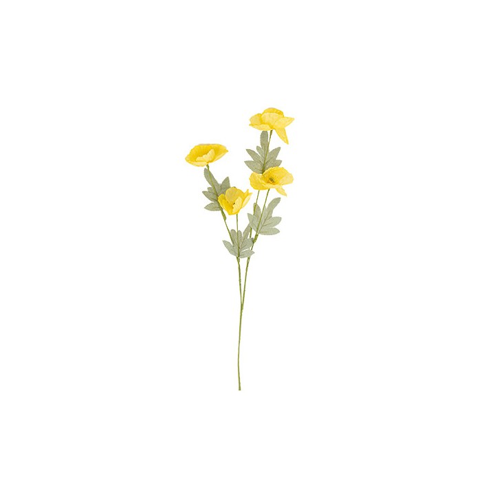Branche de coquelicot jaune et vert