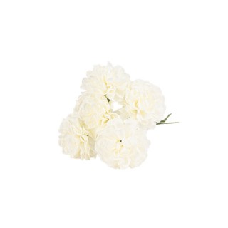 Bouquet de 6 hortensia ivoire et vert