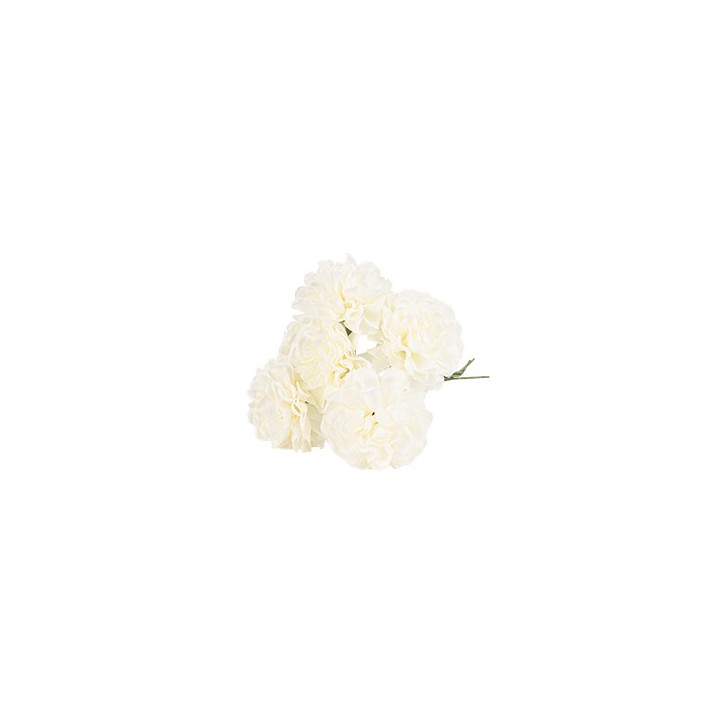 Bouquet de 6 hortensia ivoire et vert