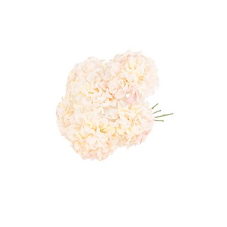 Bouquet de 6 hortensia blush et vert