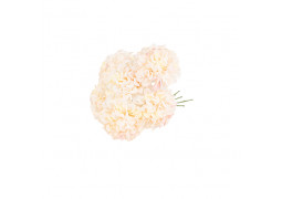 Bouquet de 6 hortensia blush et vert