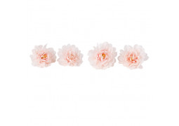 Tete pivoine rose x4