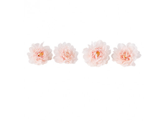 Tete pivoine rose x4