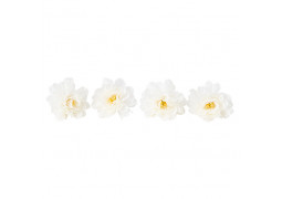 Tete pivoine creme x4