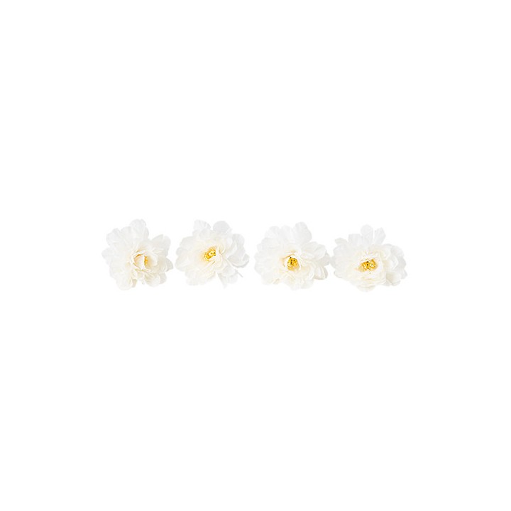 Tete pivoine creme x4