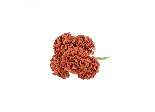 Bouquet de 6 hortensia terracotta et vert