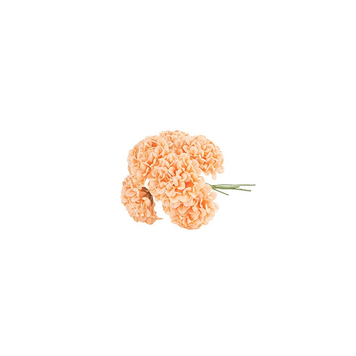 Bouquet de 6 hortensia peche et vert