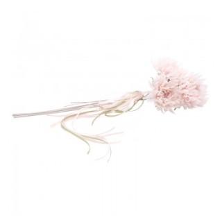 Bouquet 3 scabieuses rose poudre