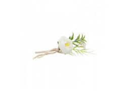 Mini bouquet pivoine blanche