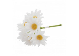 Bouquet 6 marguerites blanches