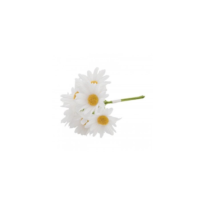 Bouquet 6 marguerites blanches