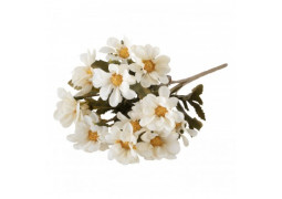 Bouquet 5 tiges bidens blanches