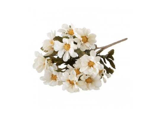 Bouquet 5 tiges bidens blanches