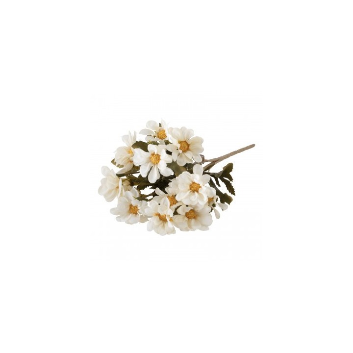 Bouquet 5 tiges bidens blanches