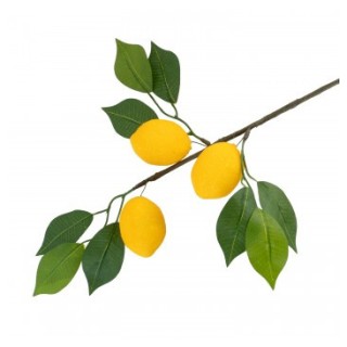 Branche de 3 citrons