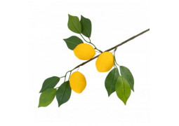 Branche de 3 citrons