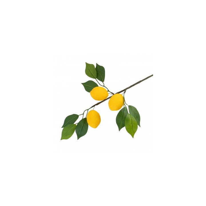 Branche de 3 citrons
