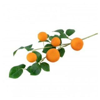 Branche de 5 mandarines