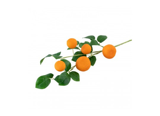Branche de 5 mandarines