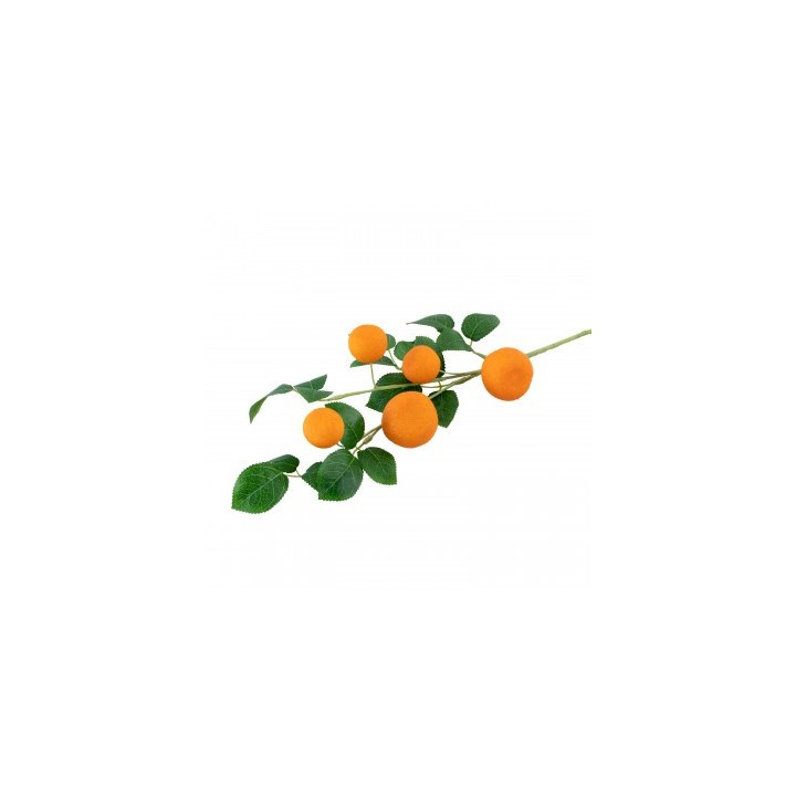 Branche de 5 mandarines
