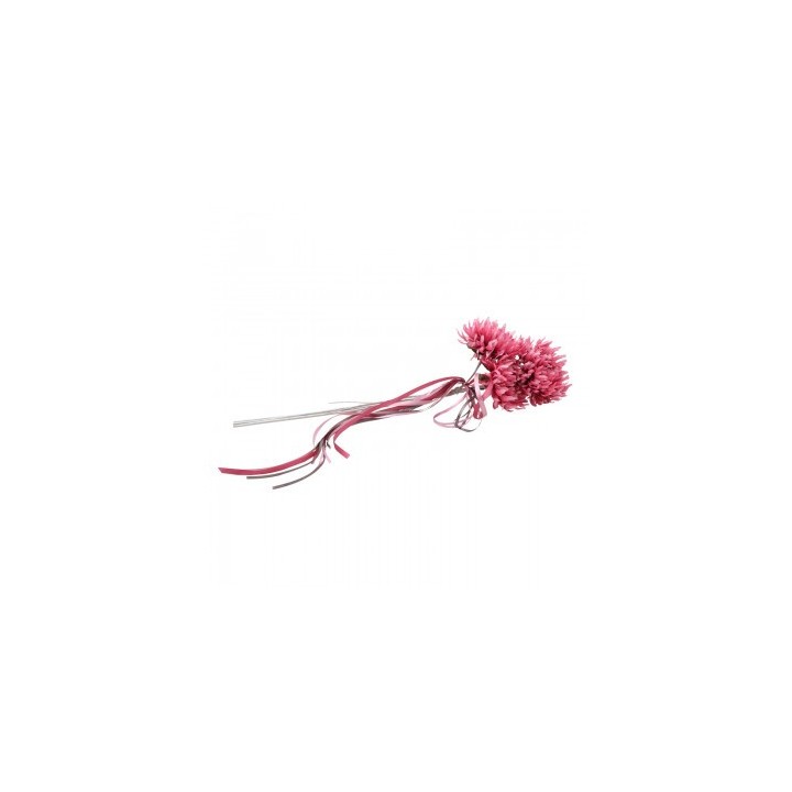 Bouquet 3 scabieuses fuchsia