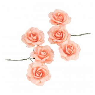 Rose papier tangerine x6