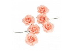 Rose papier tangerine x6