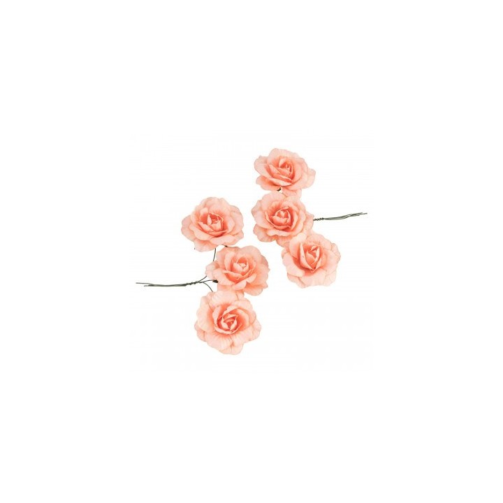 Rose papier tangerine x6