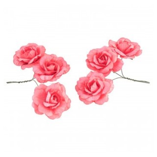 Rose papier pink lady x6