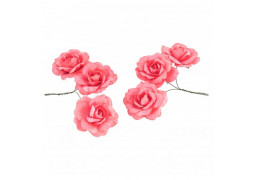 Rose papier pink lady x6