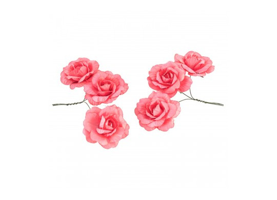 Rose papier pink lady x6