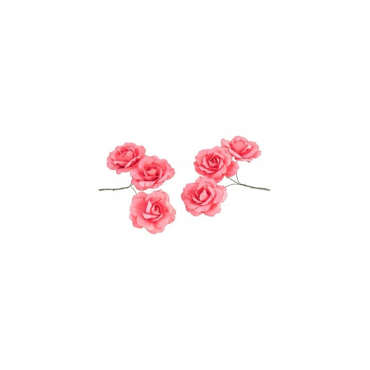Rose papier pink lady x6