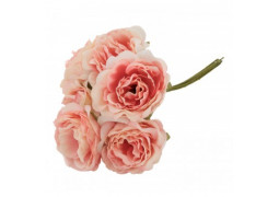 Bouquet 6 pivoines vieux rose