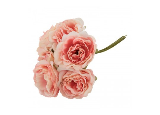 Bouquet 6 pivoines vieux rose