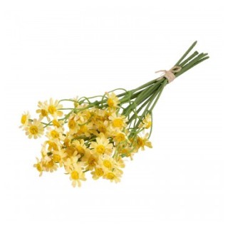 Bouquet marguerites jaunes