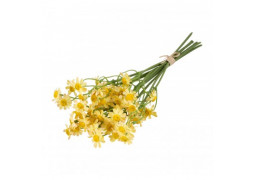 Bouquet marguerites jaunes