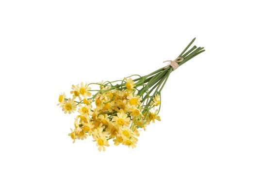 Bouquet marguerites jaunes