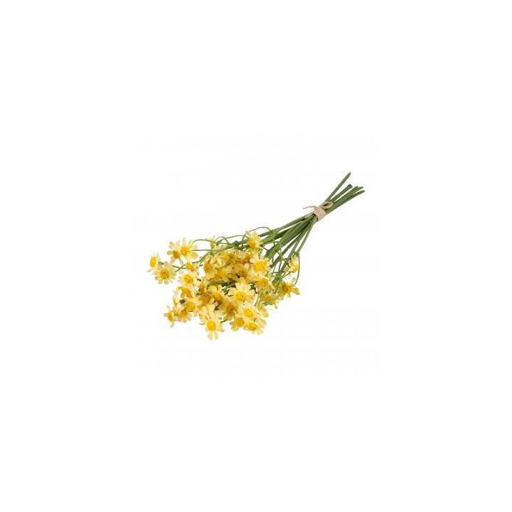 Bouquet marguerites jaunes