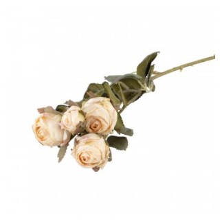 Tige 5 roses ivoires effet seche